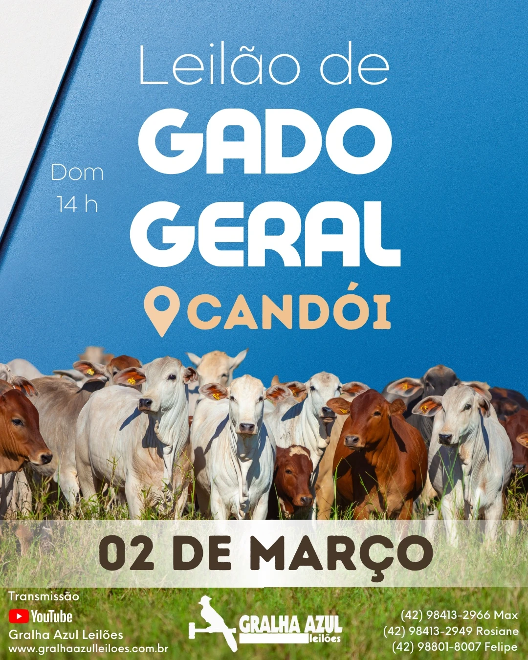 imagem