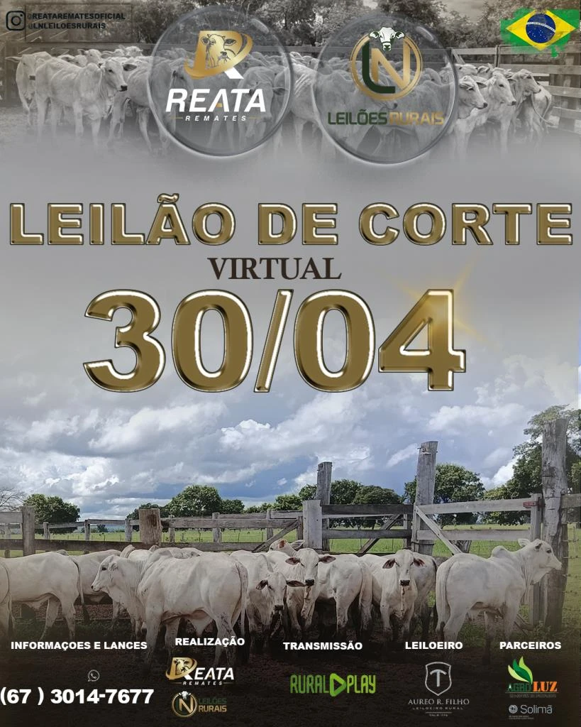 LEILÃO VIRTUAL GADO DE CORTE 30-04-2025