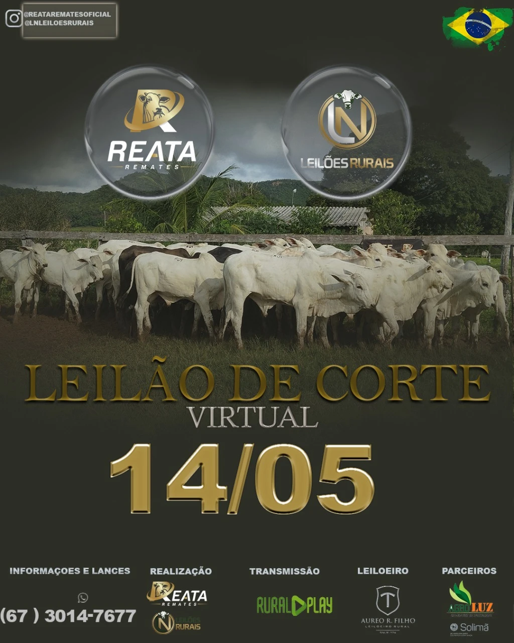 LEILAO VIRTAL GADO DE CORTE 14-05-2025