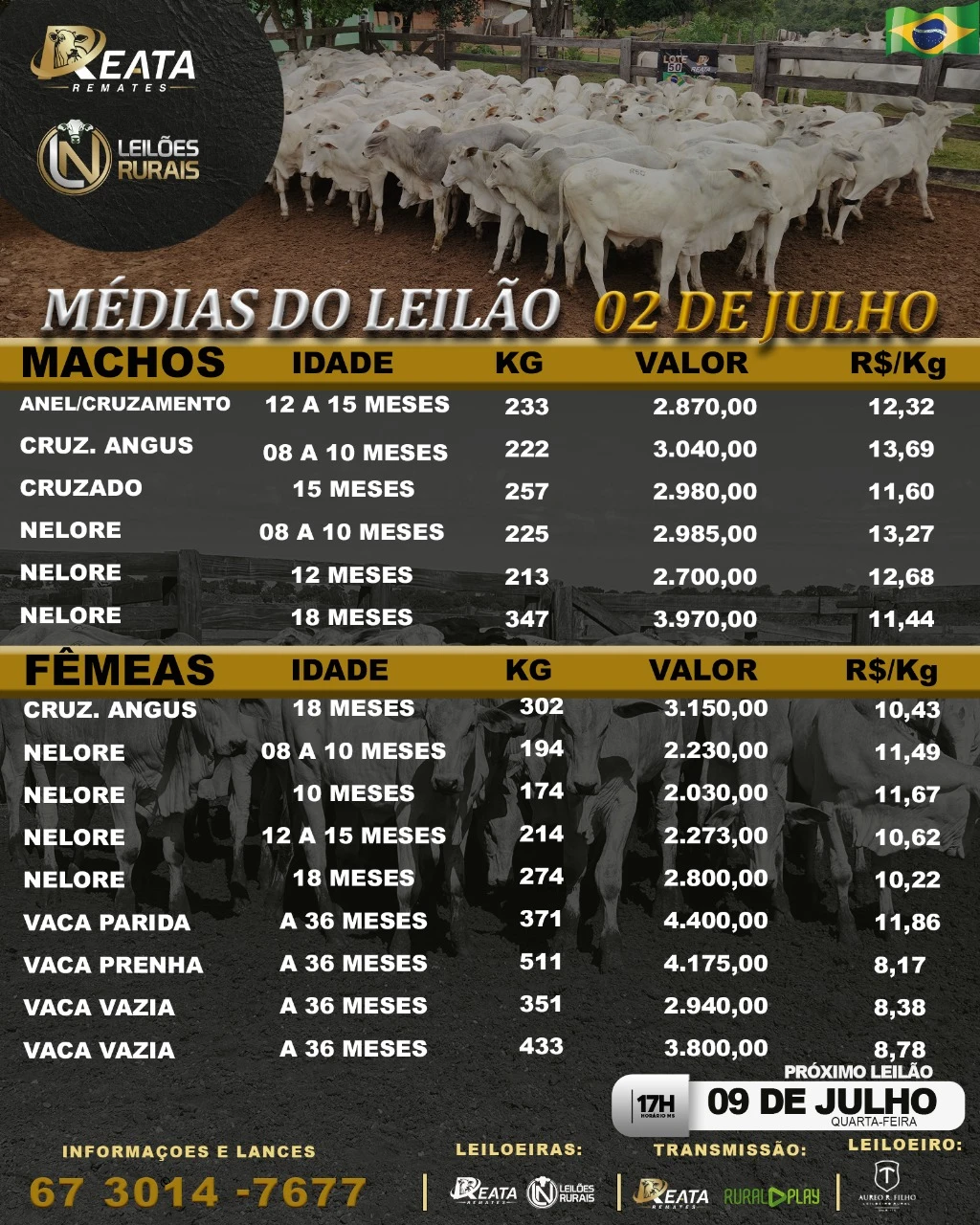 --LEILAO VIRTAL GADO DE CORTE 02-07-2025 REALIZADO ---