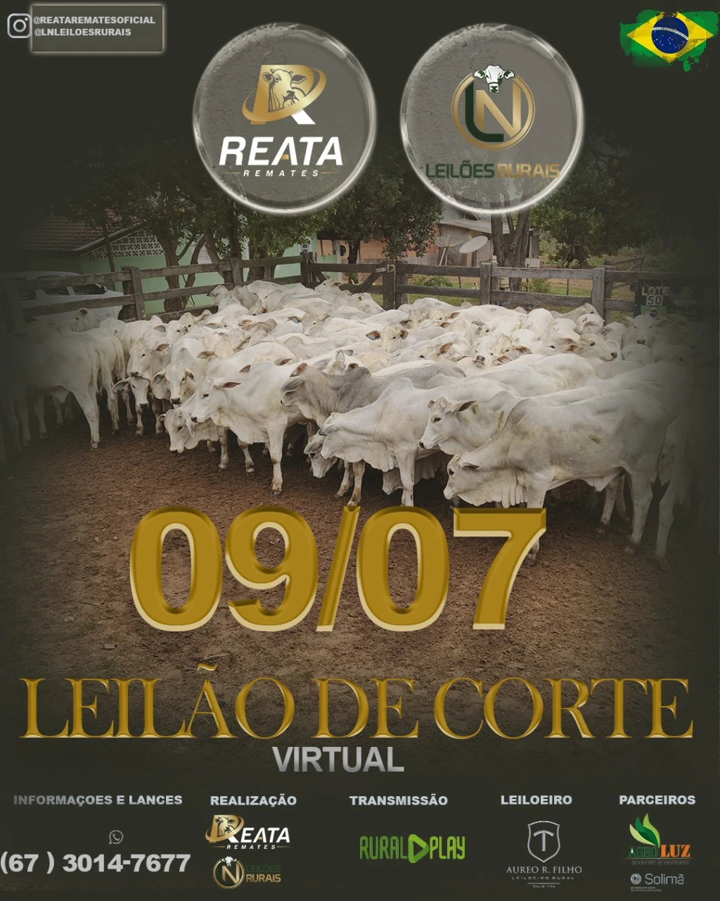 LEILAO VIRTAL GADO DE CORTE 09-07-2025 17H