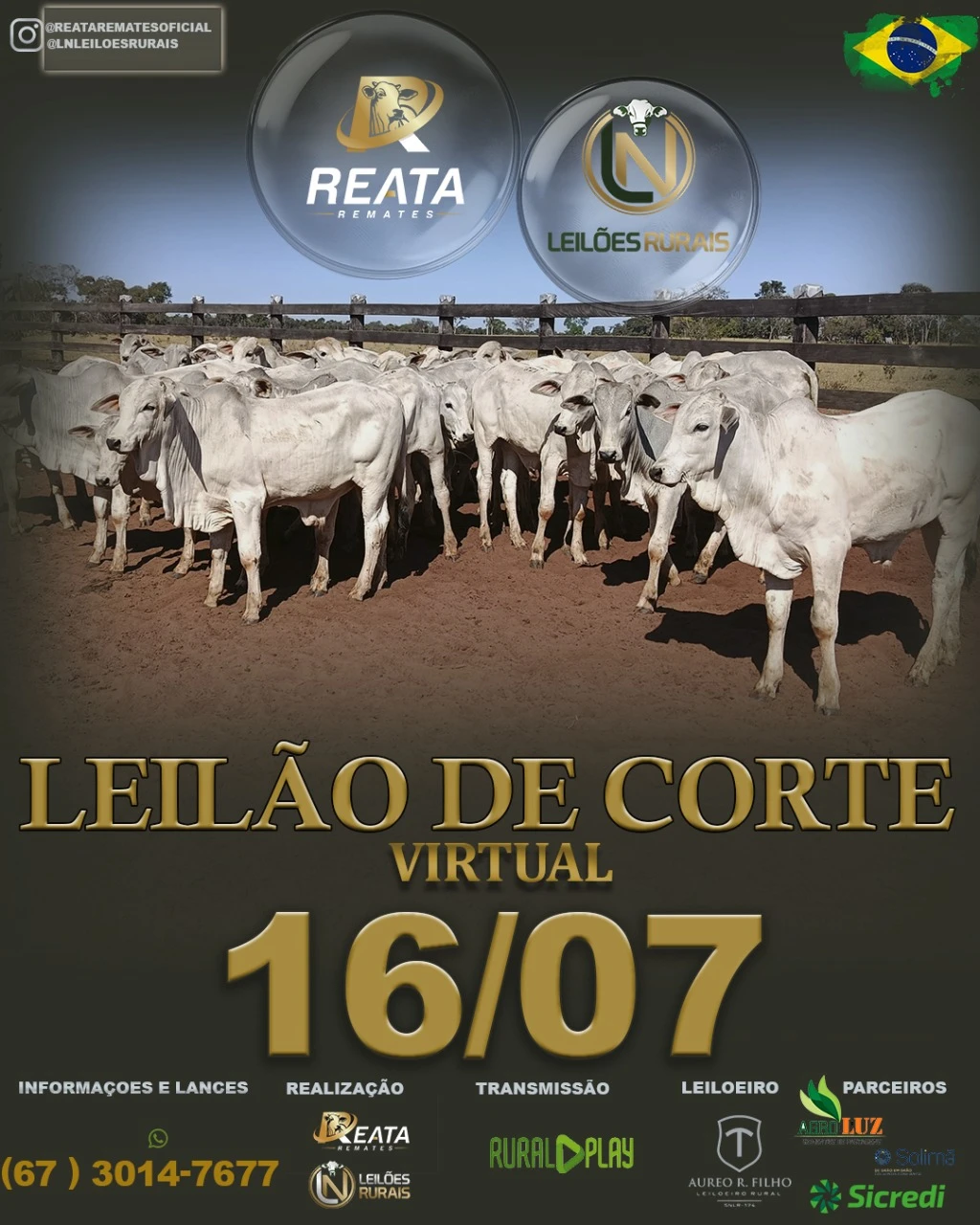 LEILÃO VIRTUAL GADO DE CORTE 16-07-2025 17H