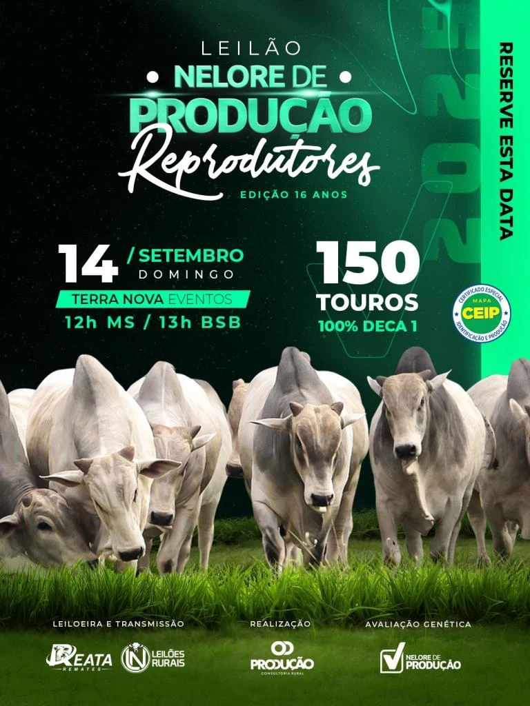LEILÃO NELORE DE PRODUÇÃO - REPRODUTORES