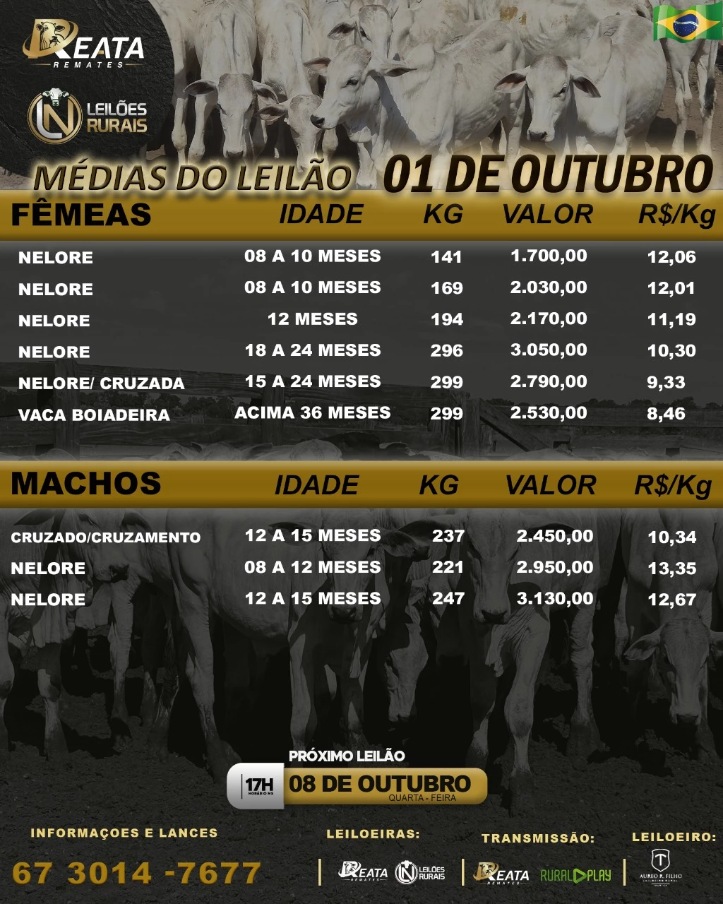 -- RESULTA LEILÃO VIRTUAL GADO DE CORTE 01-10-2025 AS 17H