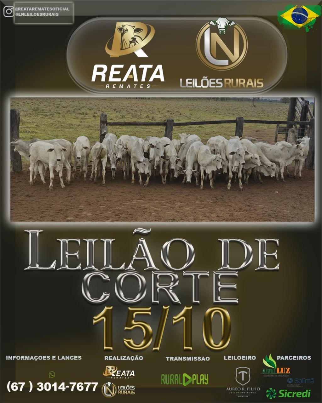 LEILÃO VIRTUAL GADO DE CORTE 15-10-2025 17H