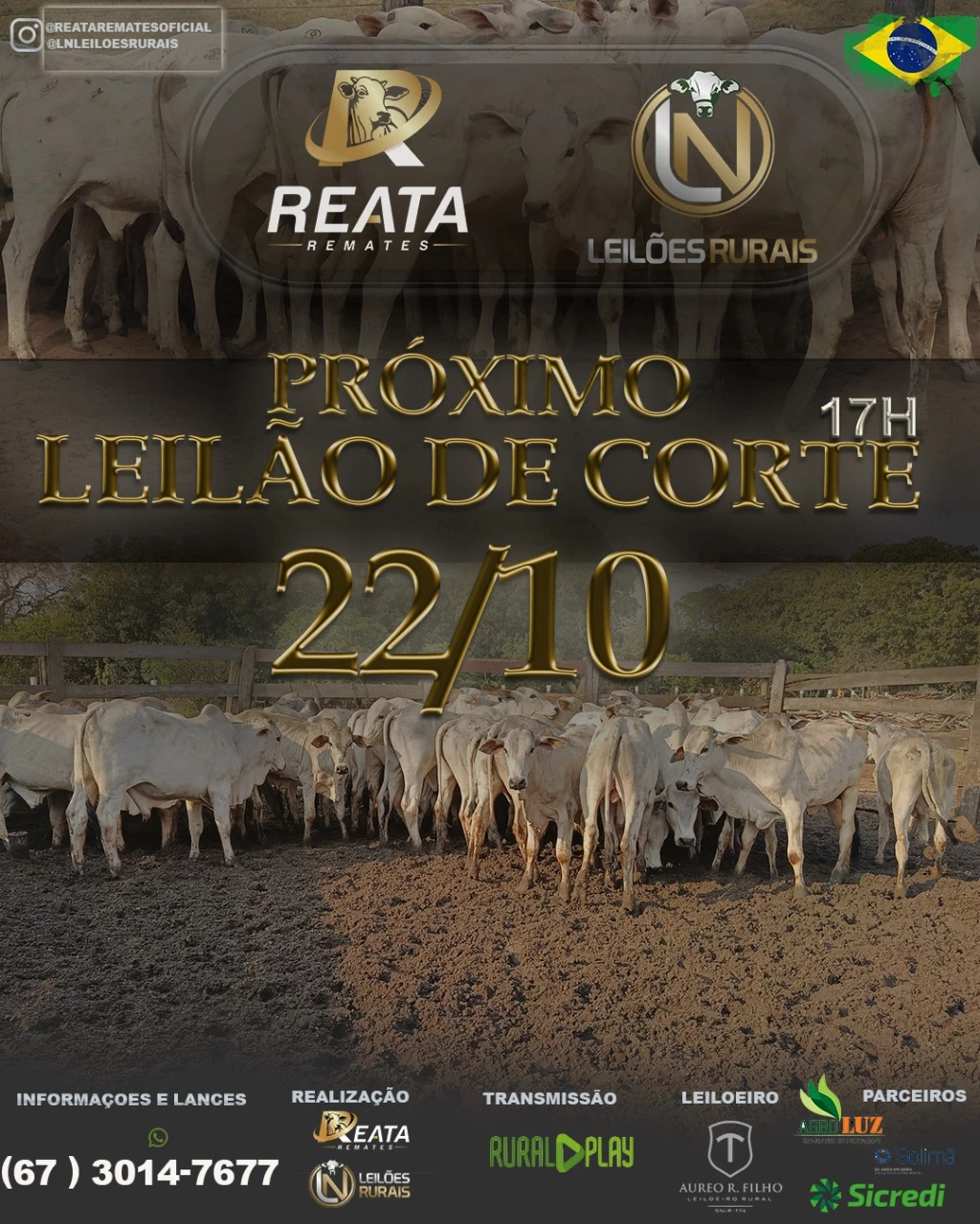 LEILAO VIRTAL GADO DE CORTE 22-10-2025
