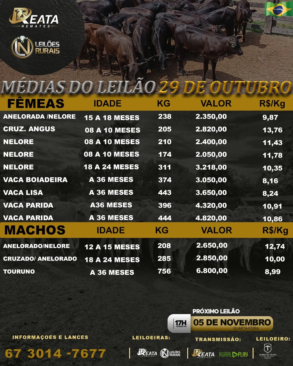 LEILÃO VIRTUAL GADO DE CORTE 29-10-2025
