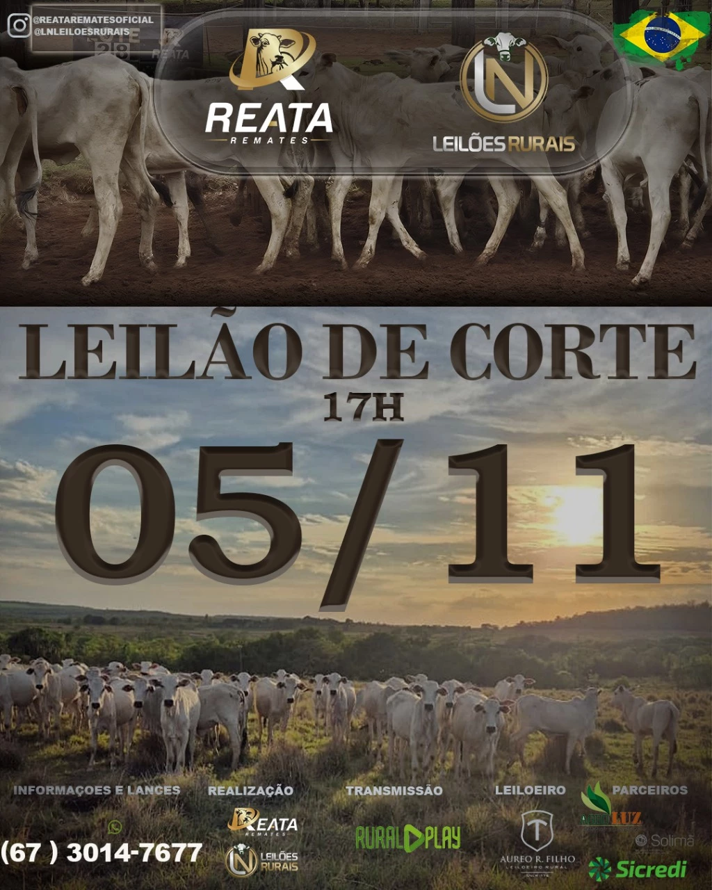 LEILÃO VIRTUAL GADO DE CORTE 05-11-2025 17H