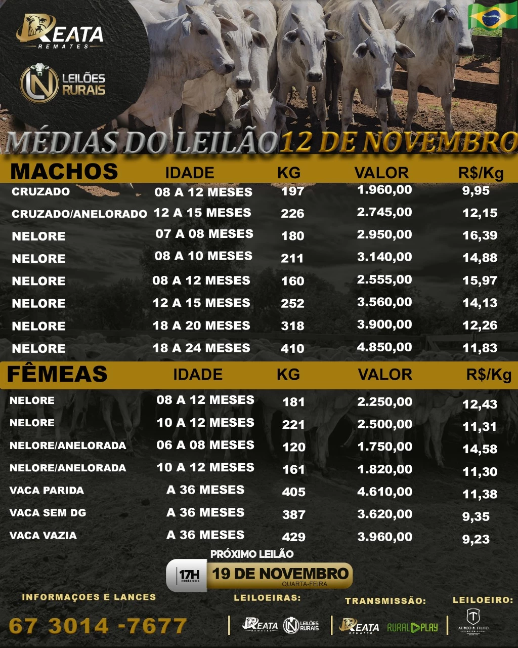 -- RESULTADO LEILÃO VIRTUAL GADO DE CORTE 12-11-2025 17H