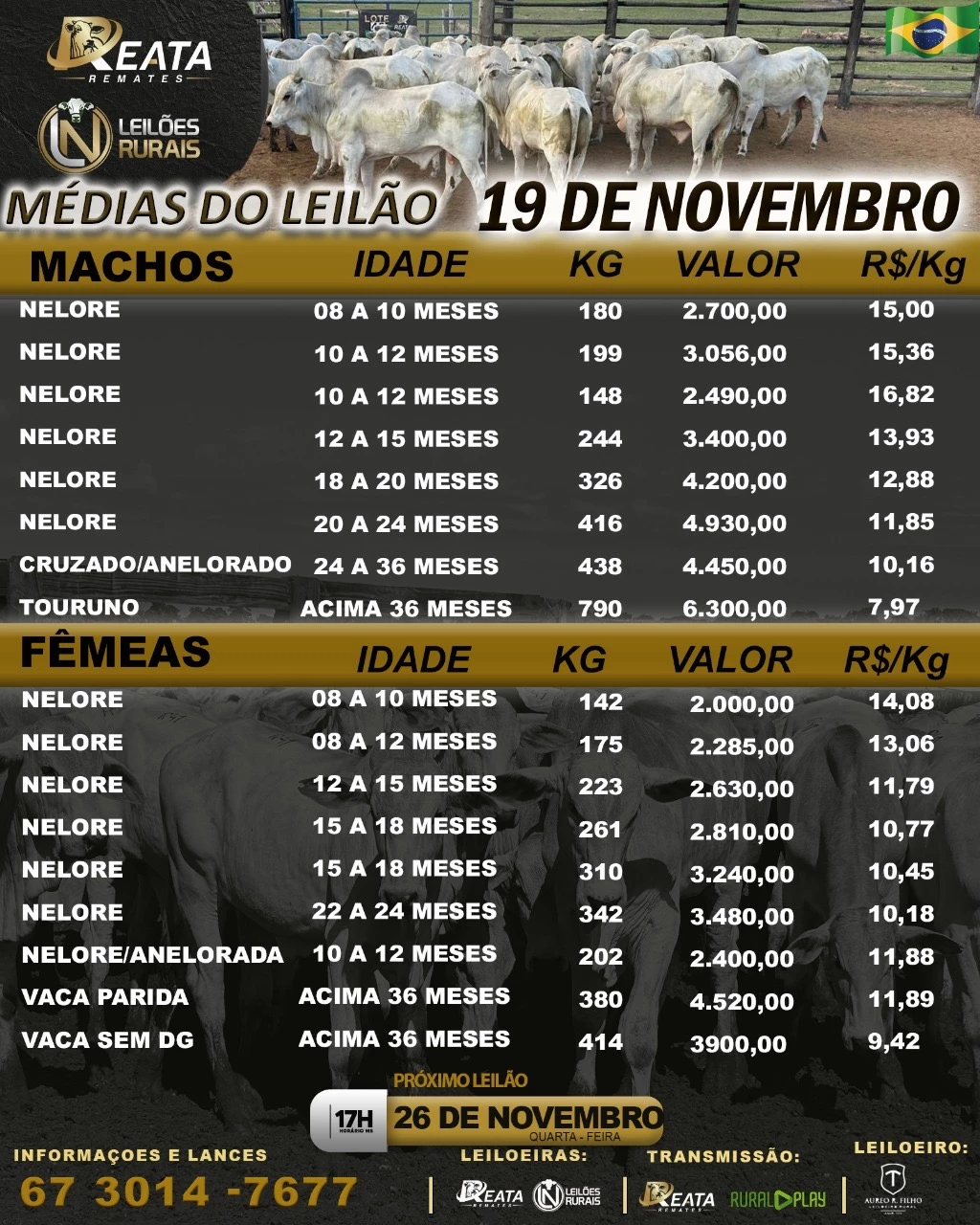 -- RESULTADO LEILÃO VIRTUAL GADO DE CORTE 19-11-2025
