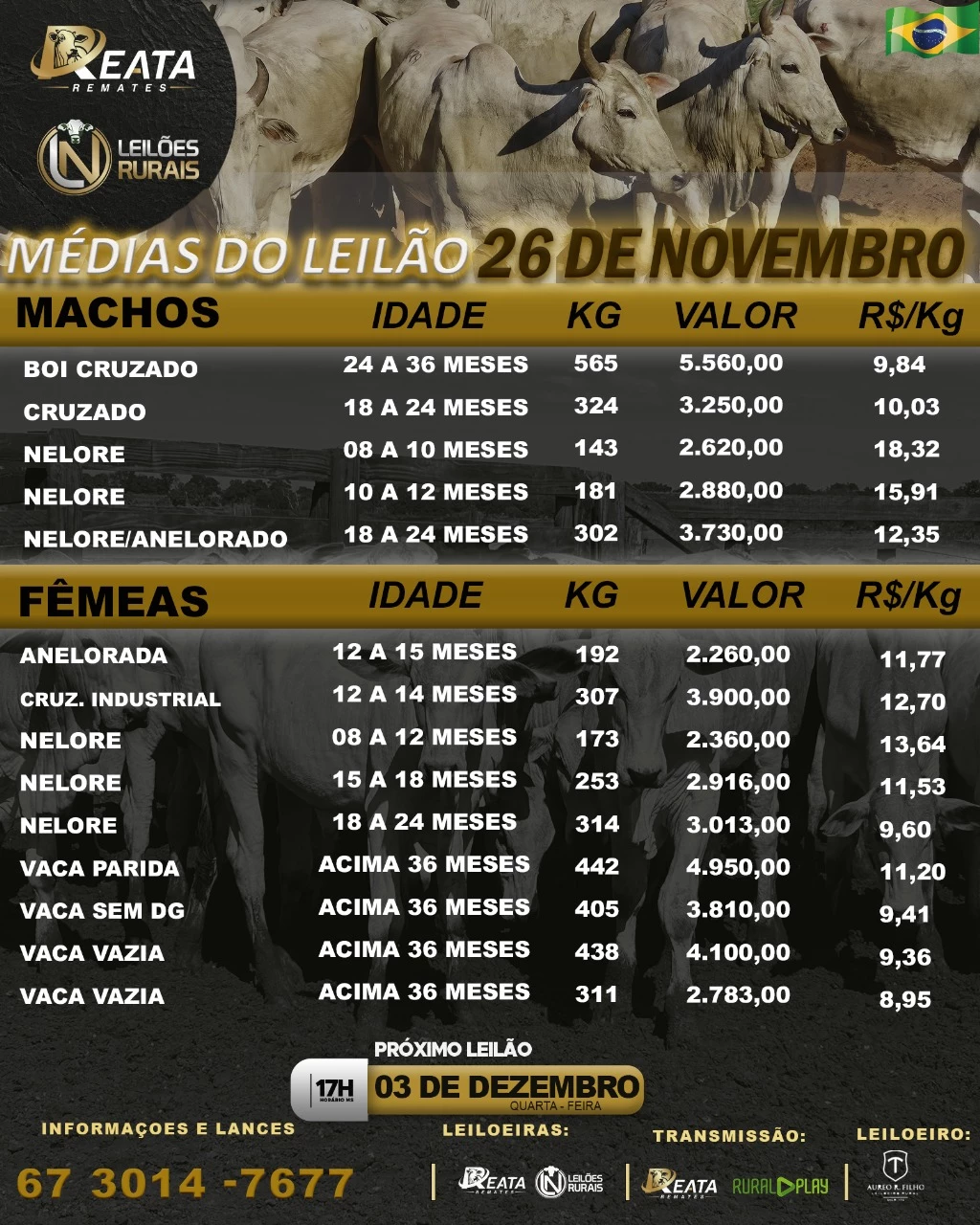 -- RESULTADO LEILÃO VIRTUAL GADO DE CORTE 26-11-2025 17H