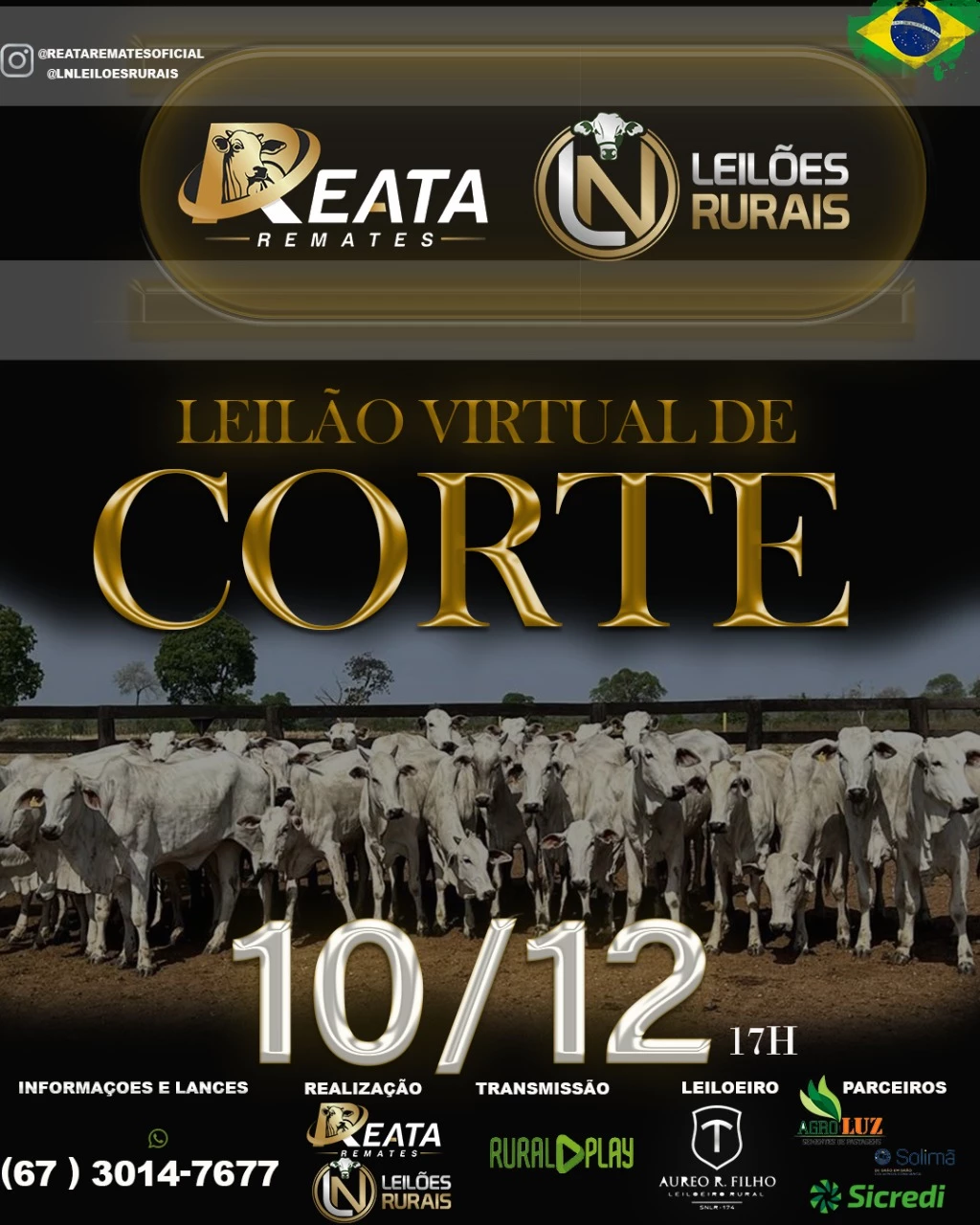 LEILÃO VIRTUAL GADO DE CORTE 10-12-2025 17H