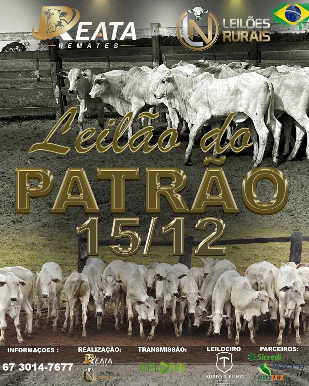 LEILÃO DO PATRÃO 15-12-2025 17H