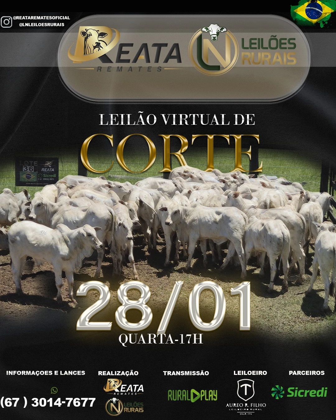 LEILÃO VIRTUAL GADO DE CORTE 28-01-2026 17h
