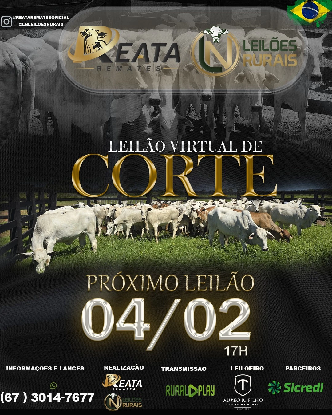 LEILÃO VIRTUAL GADO DE CORTE 04-02-2026 17H