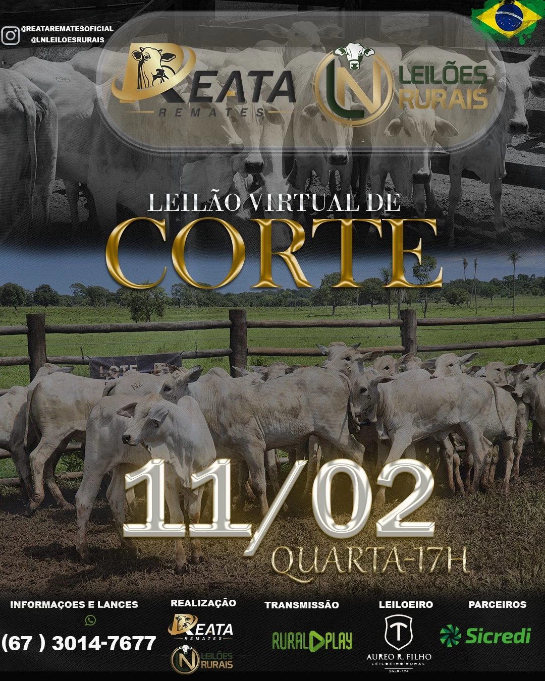 LEILAO VIRTAL GADO DE CORTE 11-02-2026 17H