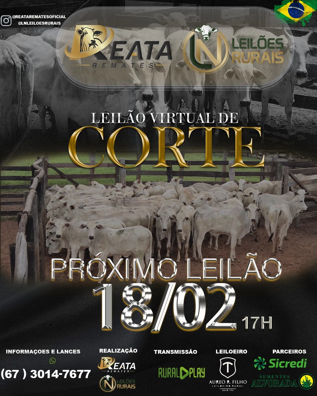 LEILÃO VIRTUAL GADO DE CORTE 18-02-2026 AS 17H