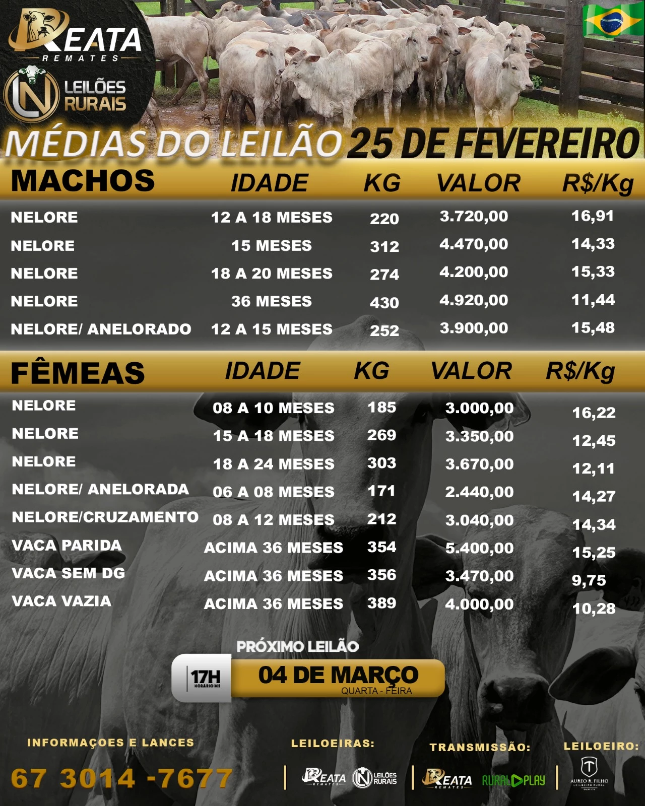 -- RESULTA  GADO DE CORTE 25-06-2025