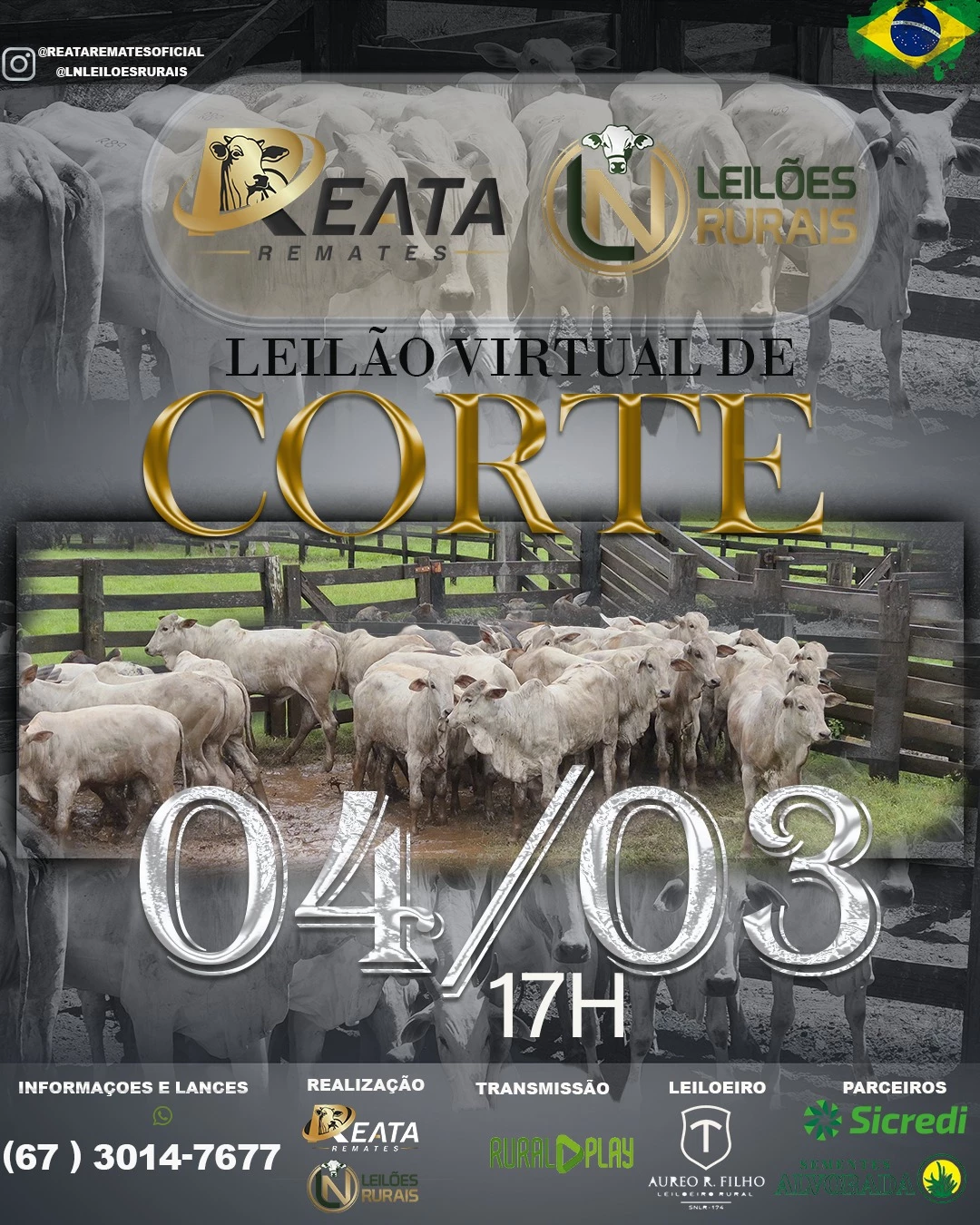LEILÃO VIRTUAL GADO DE CORTE 04-03-2026