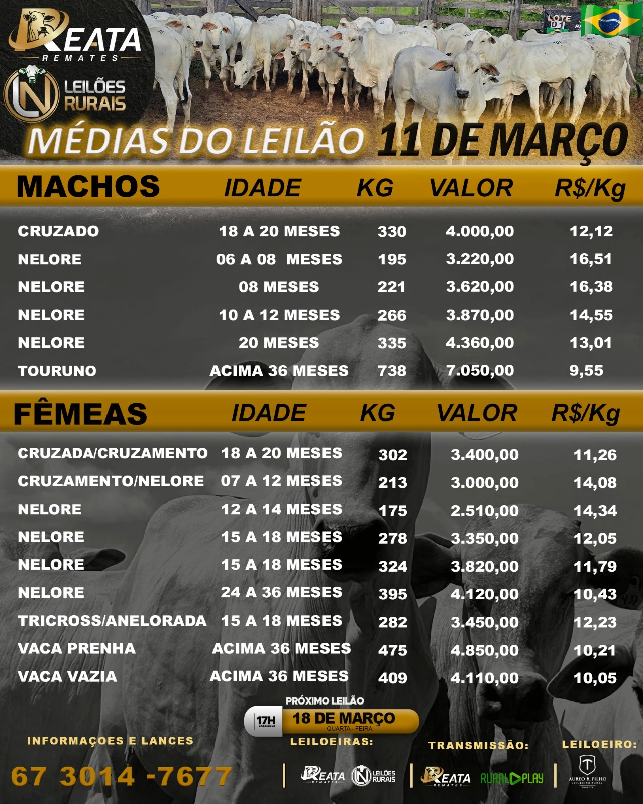 -- RESULTA GADO  GADO DE CORTE 11-03-2026 17H