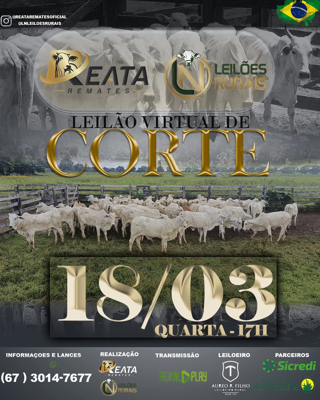 LEILÃO VIRTUAL GADO DE CORTE 18-03-2026 17H
