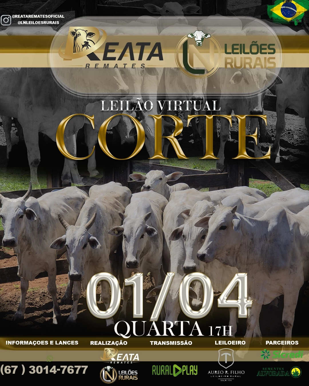 LEILÃO VIRTUAL GADO DE CORTE 01-04-2026 17H