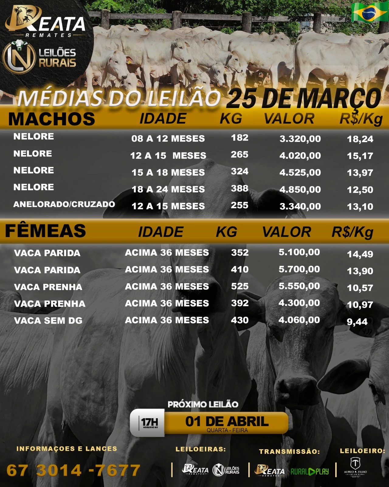 -- RESULTA GADO DE CORTE 25-03-2026 17H