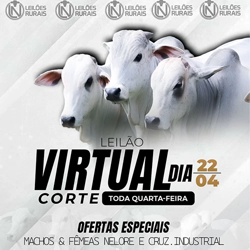 LEILÃO VIRTUAL GADO DE CORTE 22-04-2026 17H