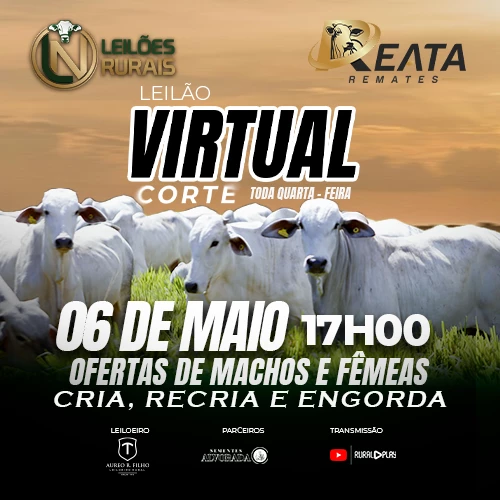 RESULTADO LEILÃO VIRTUAL GADO DE CORTE 06-05-2026 17H