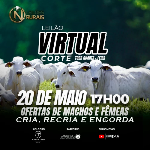 LEILÃO VIRTUAL GADO DE CORTE 20-05-2026 17H