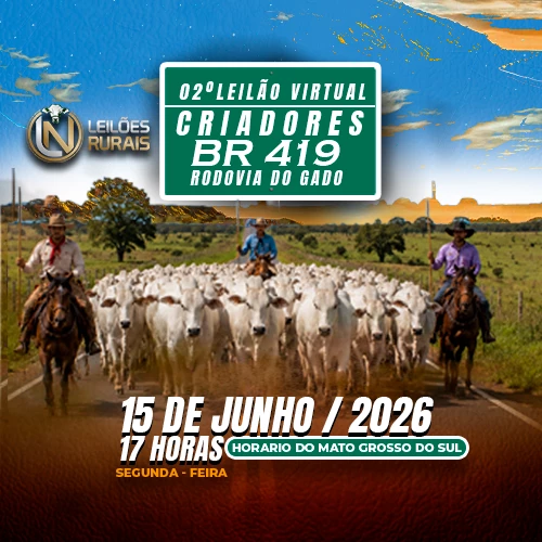 02º LEILÃO VIRTUAL CRIADORES DA BR419 15-06-2026 17H