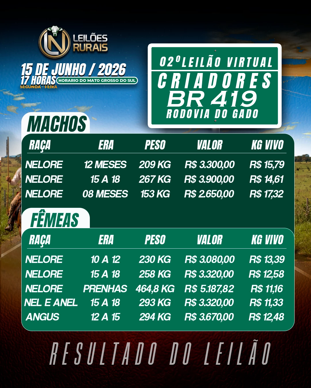 02º LEILÃO VIRTUAL CRIADORES DA BR419 15-06-2026 17H