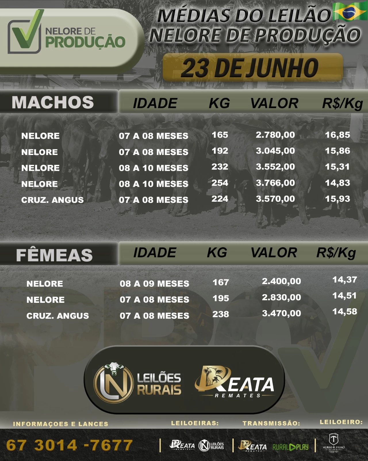 RESULTADO 5° LEILÃO DE BEZERROS - 2° ETAPA NELORE DE PROD.