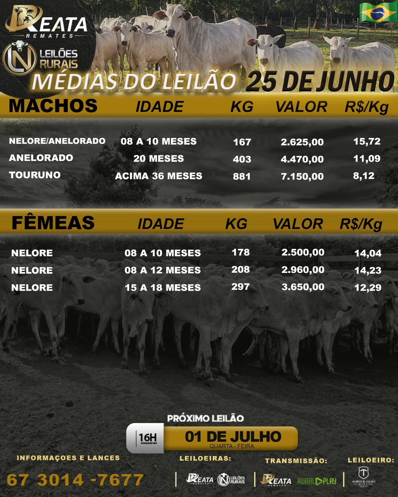 RESULTADO - LEILÃO VIRTUAL GADO DE CORTE 25-06-2026 17H