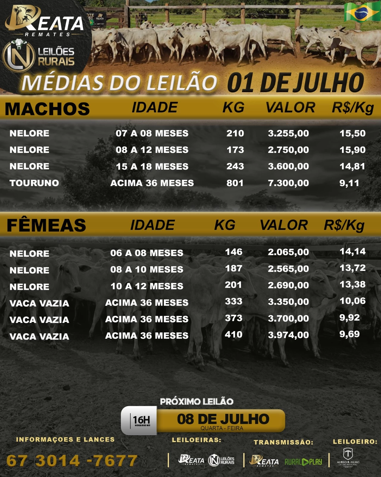 RESULTADO LEILÃO VIRTUAL GADO DE CORTE 01-07-2026 16H