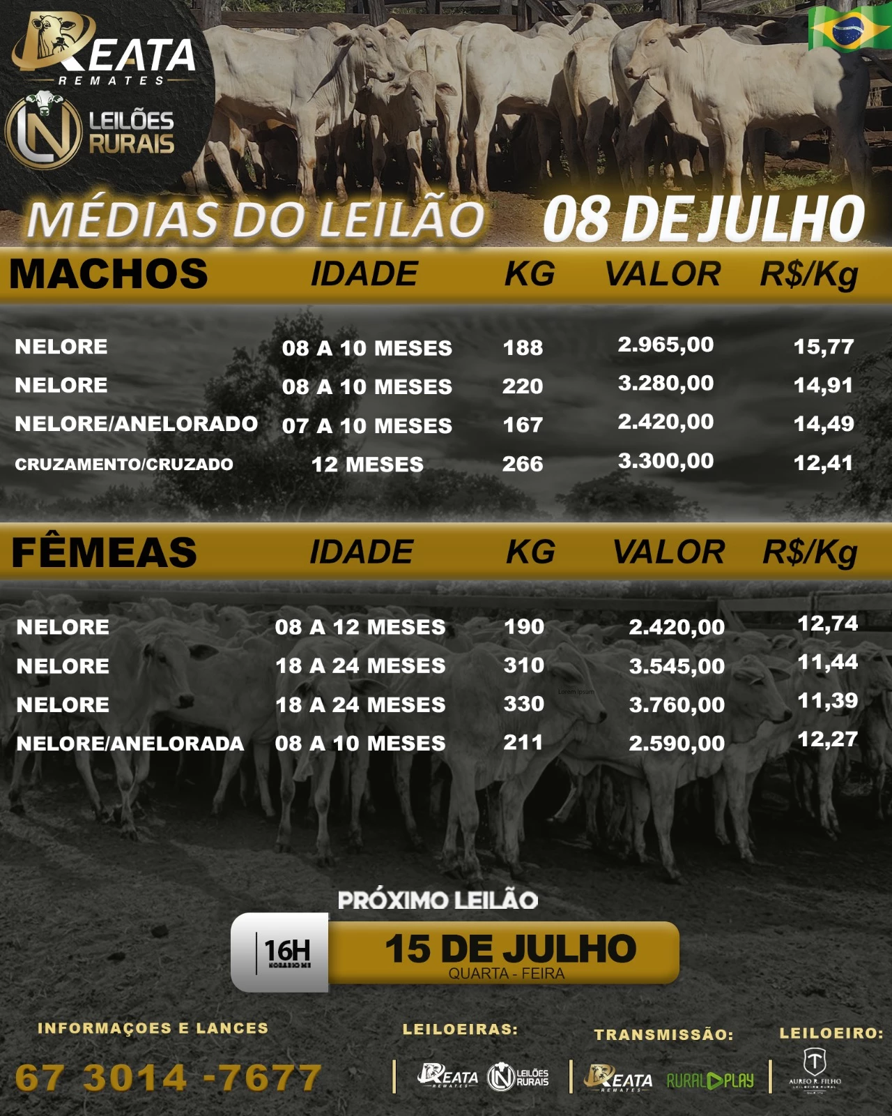 RESULTADO LEILÃO VIRTUAL GADO DE CORTE 08-07-2026 16H