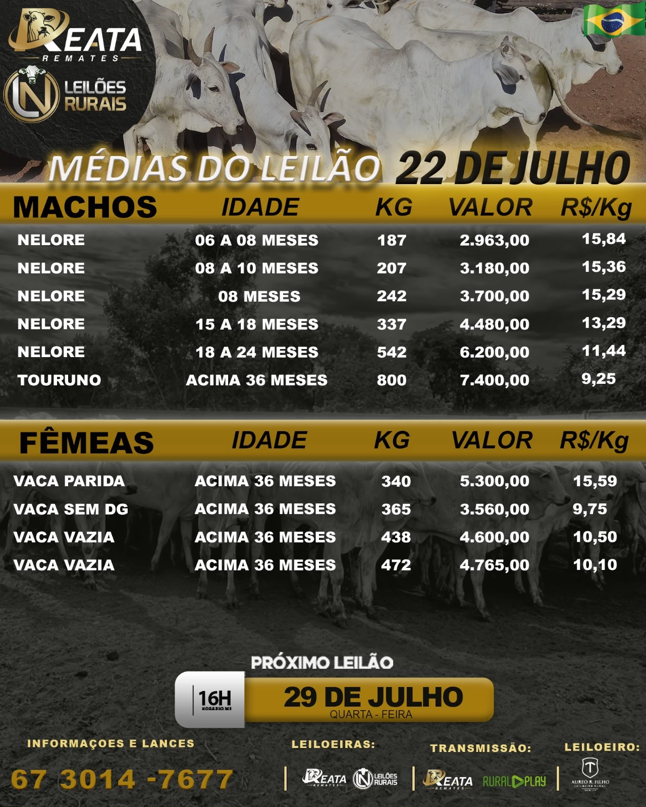 RESULTADO LEILÃO VIRTUAL GADO DE CORTE 22-07-2026 16H