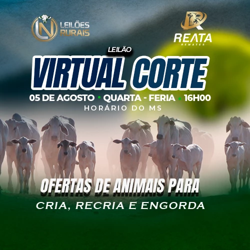 LEILÃO VIRTUAL GADO DE CORTE 05-08-2026 16H