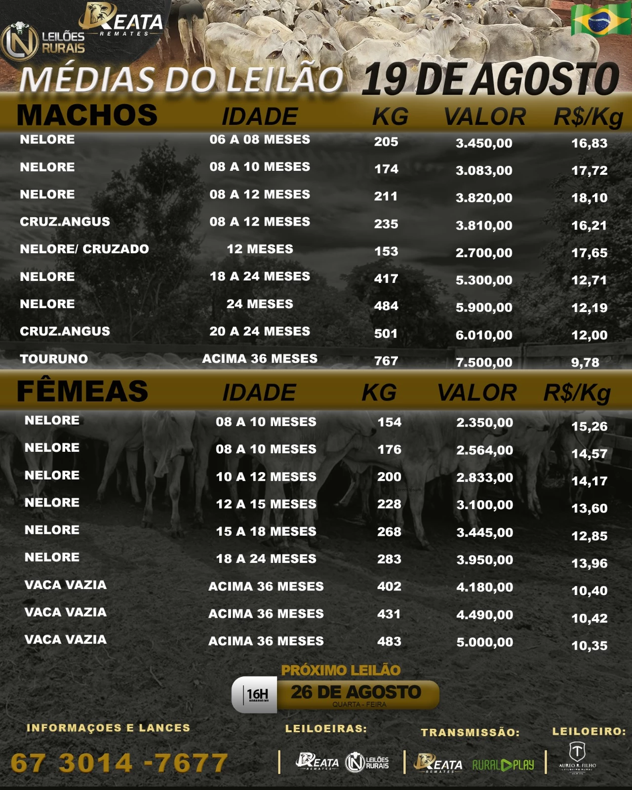 LEILÃO VIRTUAL GADO DE CORTE 19-08-2026 16H