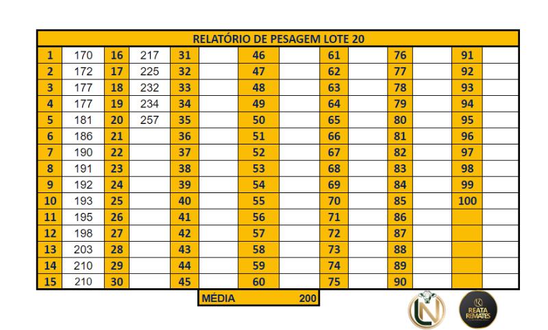 LOTE 20