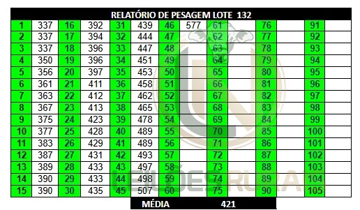 LOTE 132