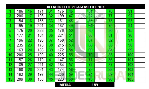 LOTE 103