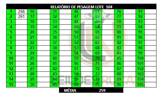 LOTE 104