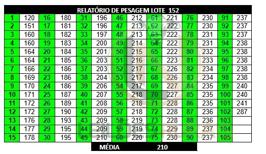 LOTE 152