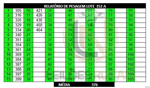 LOTE 152A