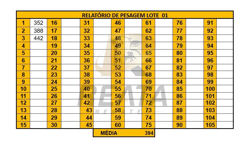 LOTE 01