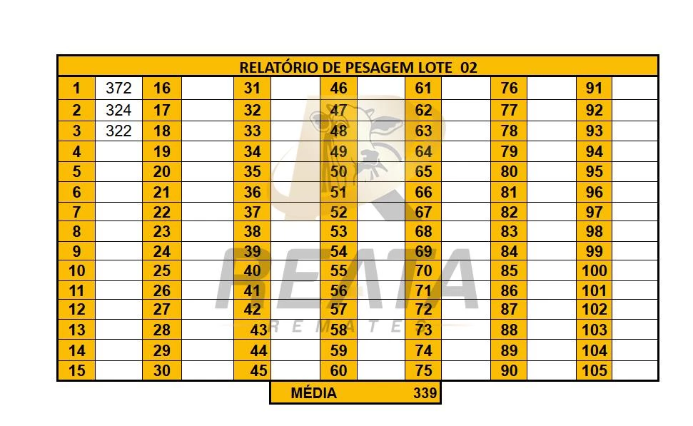 LOTE 02