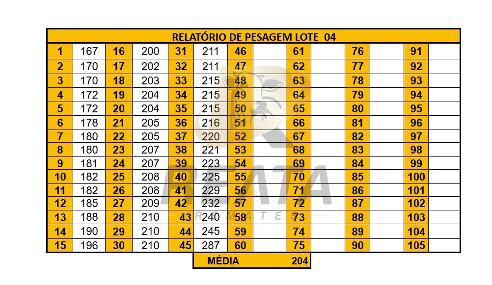 LOTE 04