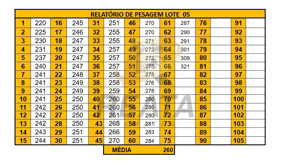 LOTE 05