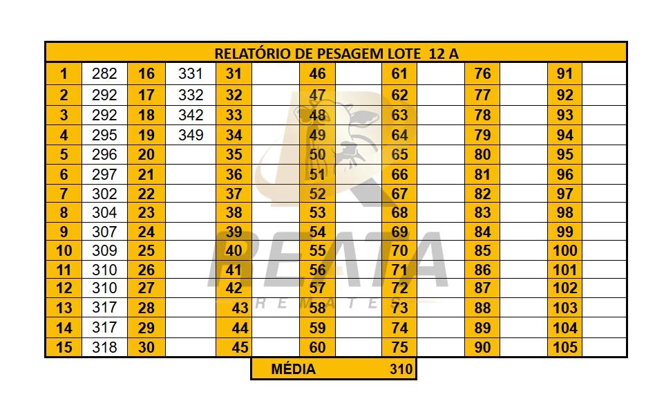LOTE 12 A